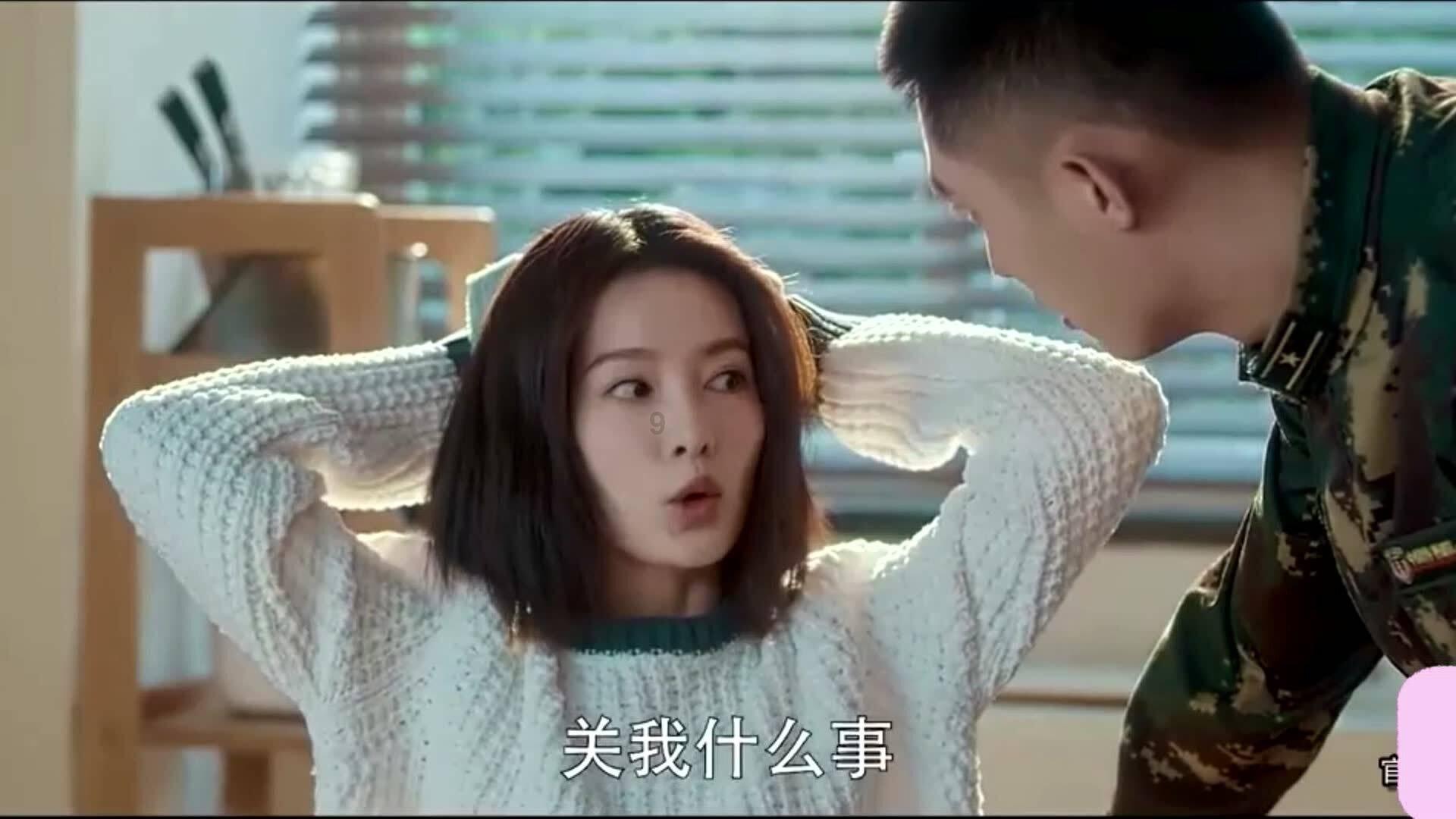 萌宠好又多